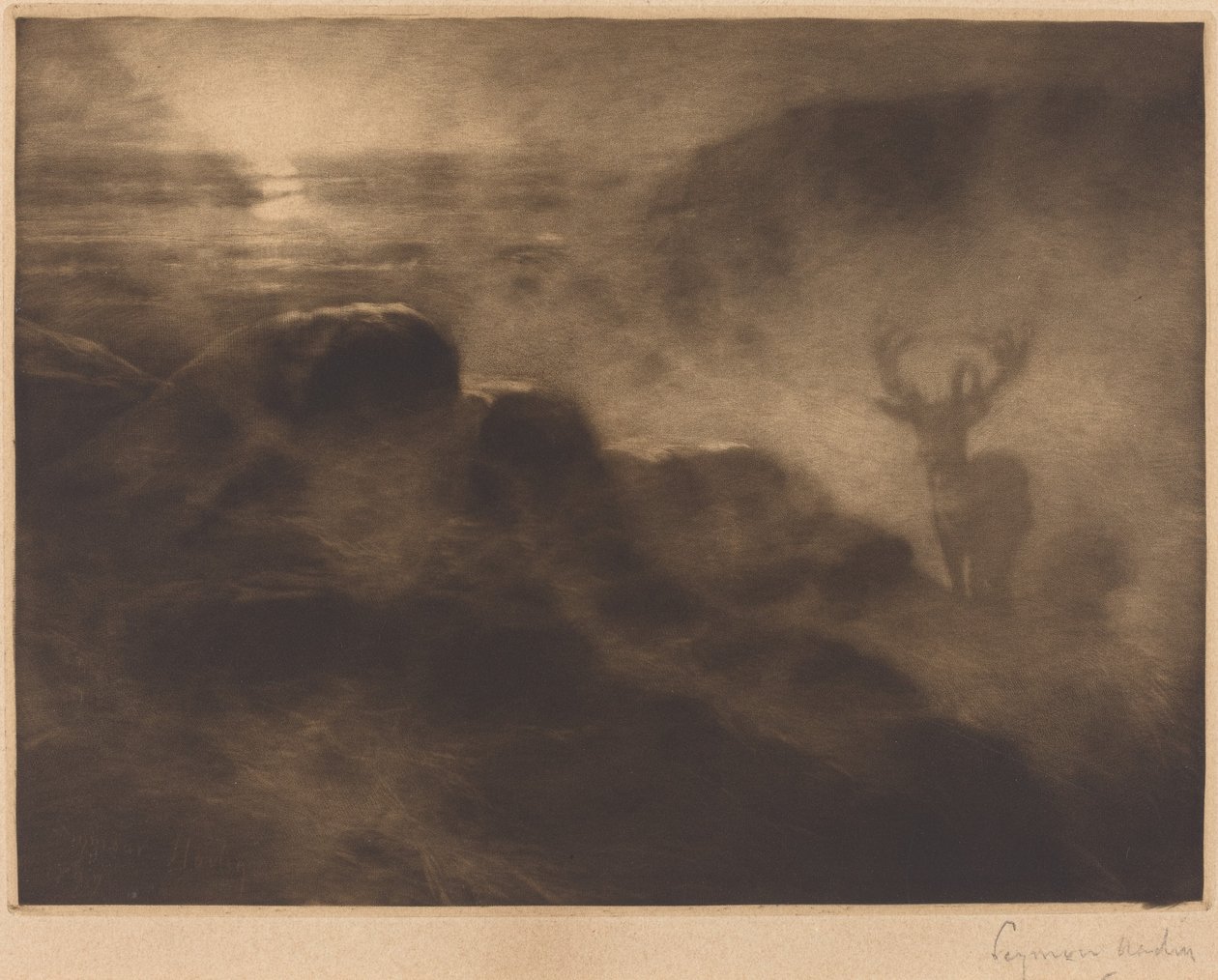 An Early Riser by Francis Seymour Haden
