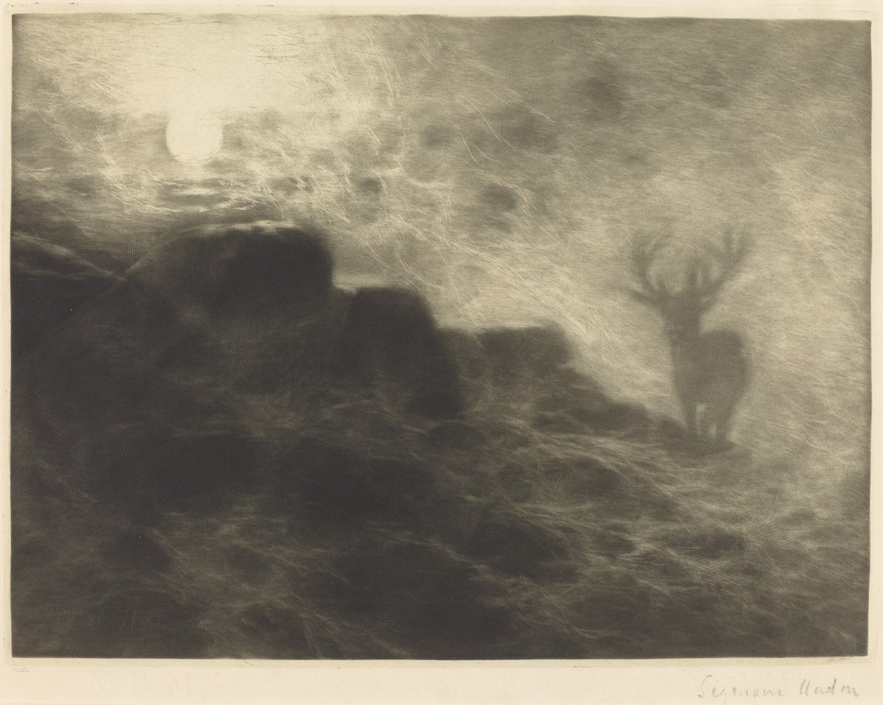 An Early Riser by Francis Seymour Haden