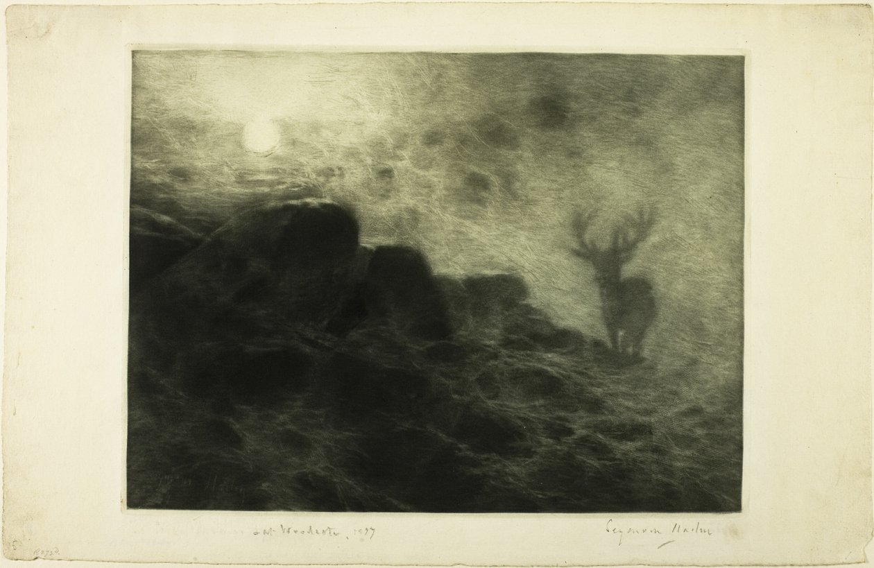 An Early Riser by Francis Seymour Haden