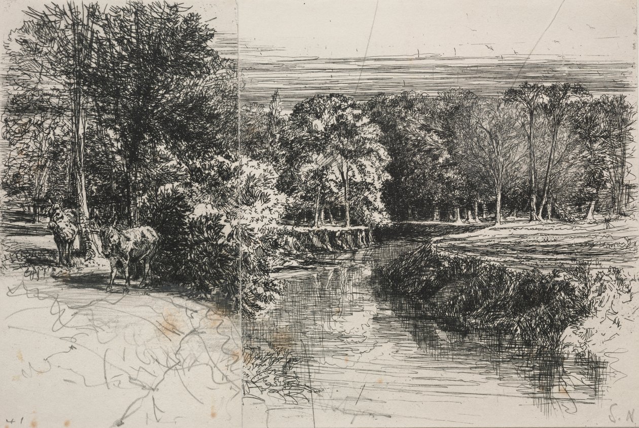Dundrum River and the Two Asses by Francis Seymour Haden
