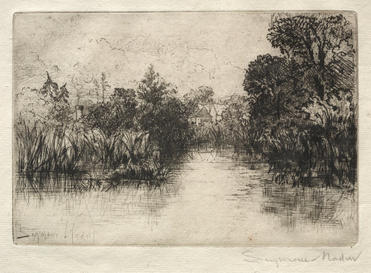Shere Mill Pond: A Small Study by Francis Seymour Haden