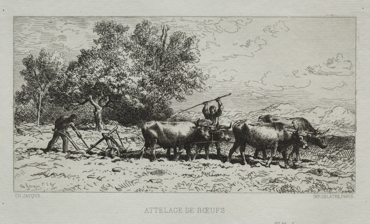 Team of Oxen by Francis Seymour Haden