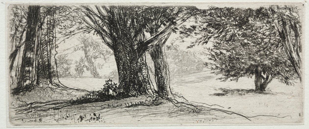 The Holly Field by Francis Seymour Haden