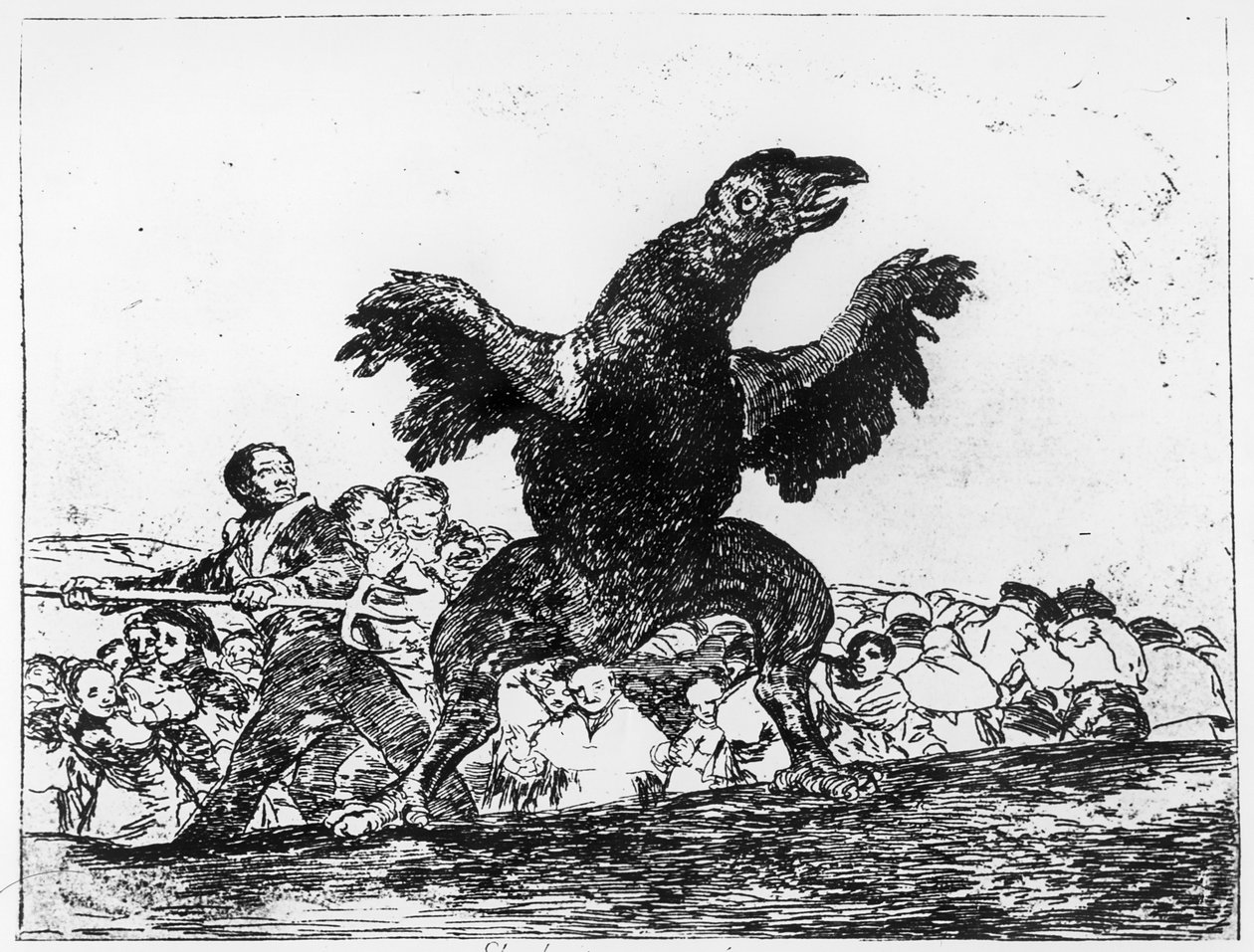 The Carnivorous Vulture, plate 76 from 