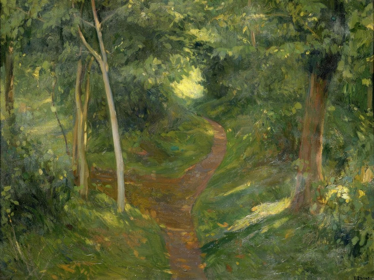 The Path by Francisco Llorens Diaz