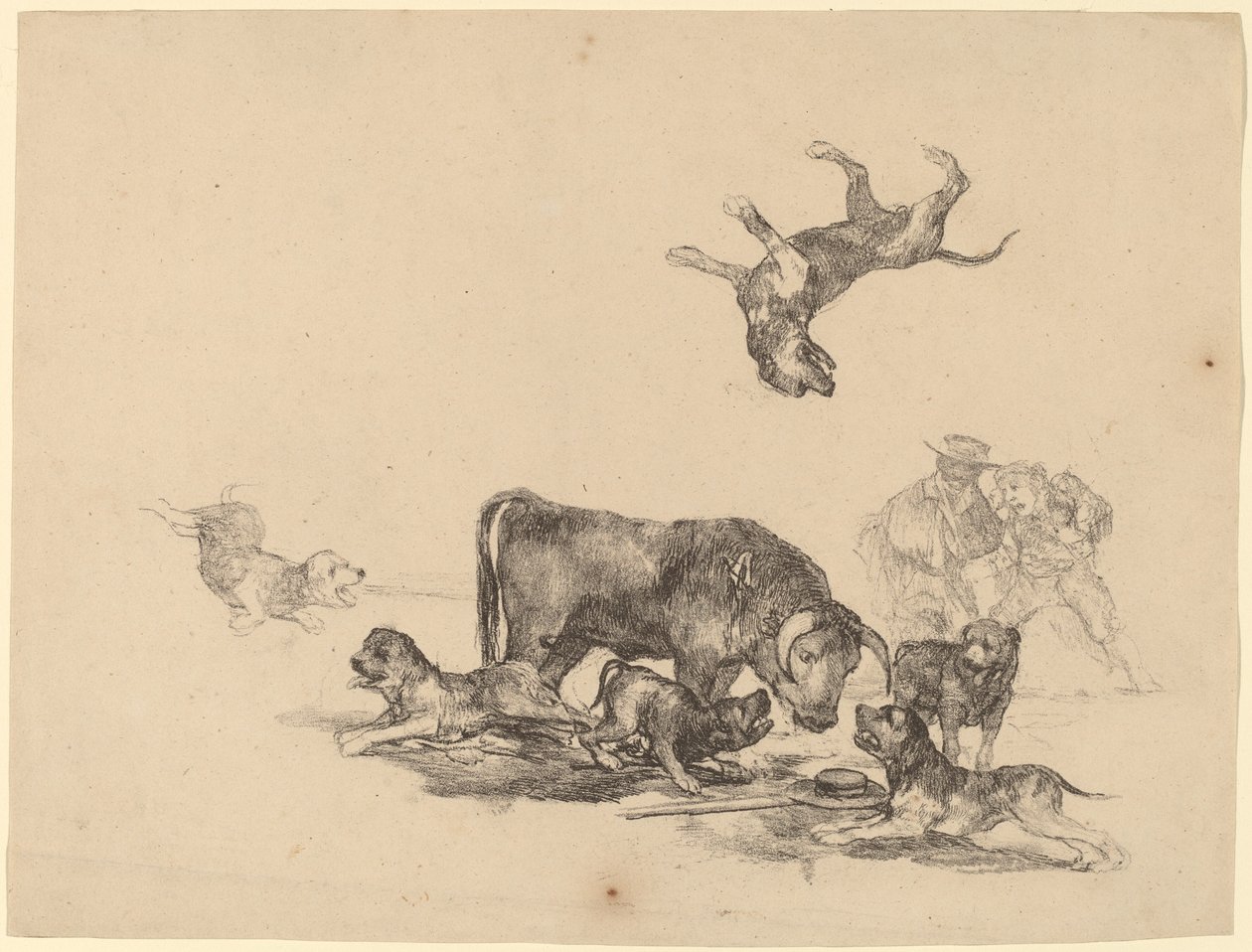 Bull Attacked by Dogs by Francisco de Goya