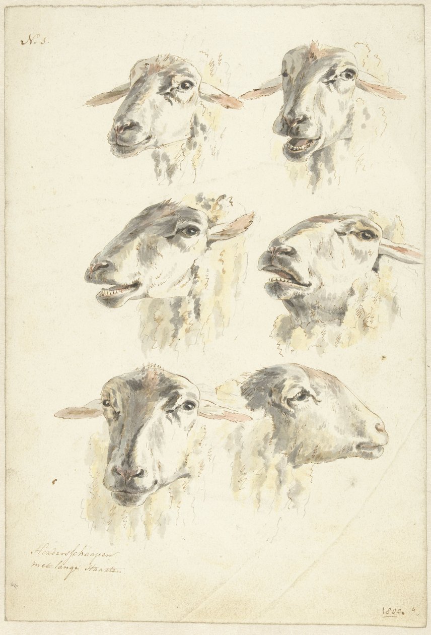 Study Sheet with Six Sheep Heads by Franciscus Andreas Milatz (attributed to)