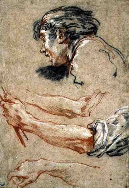 Head of a Boy by François Boucher
