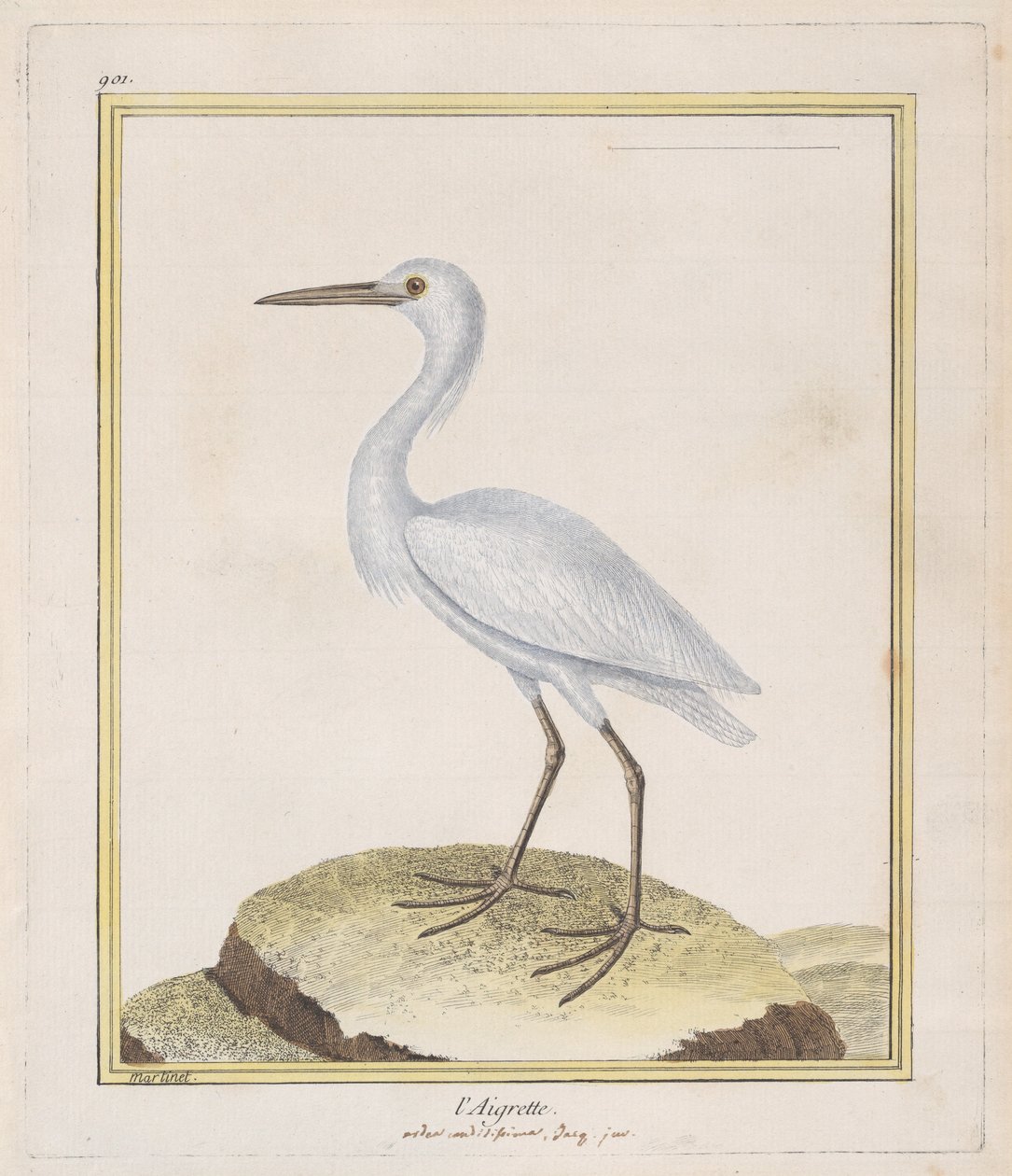 The Egret by Francois Nicolas Martinet