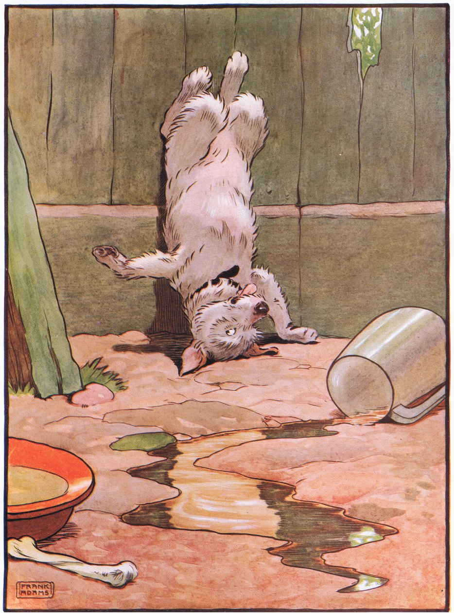 The Dog Stood on Its Head by Frank Adams