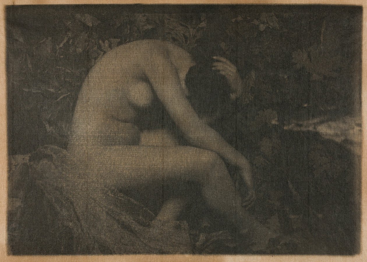 The Cicada by Frank Eugene
