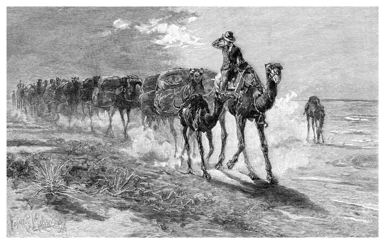 Camels carrying wool by Frank P. Mahony