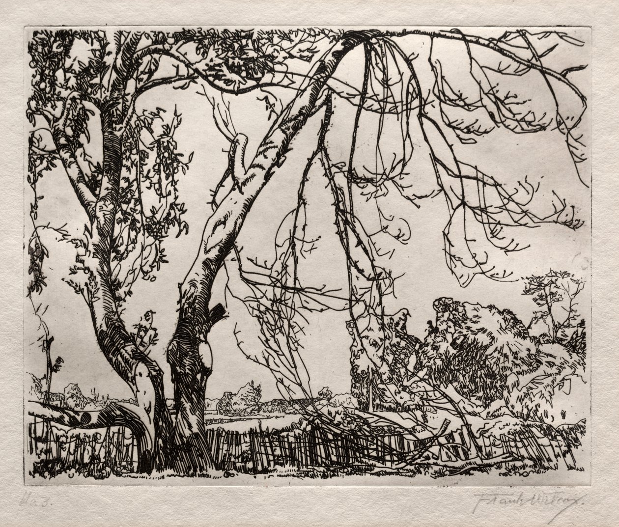 Apple Tree by Frank Wilcox