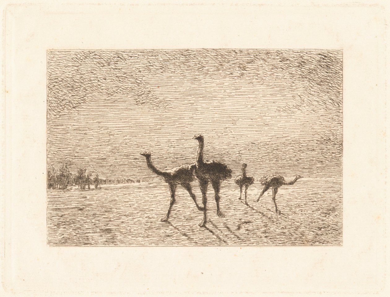Ostriches in the Desert by François Nicolas Auguste Feyen Perrin