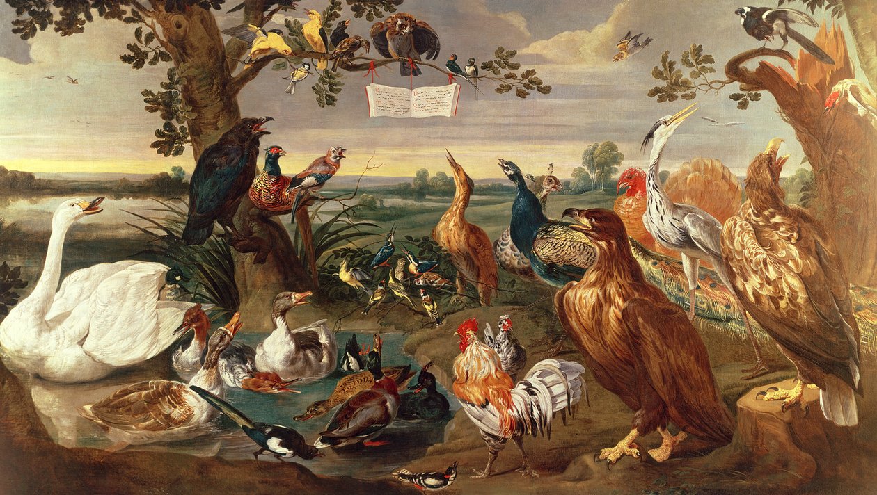 Various Birds by Frans Snyders or Snijders