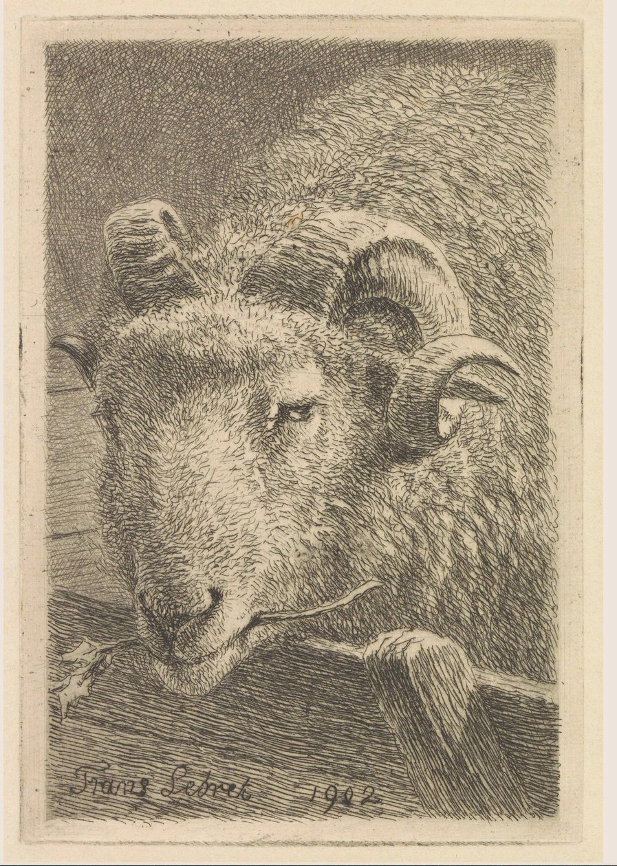 Head of a ram by Frans Lebret