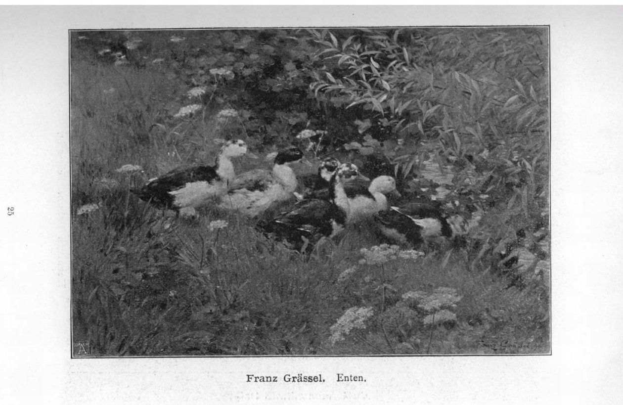 Ducks by Franz Grassel
