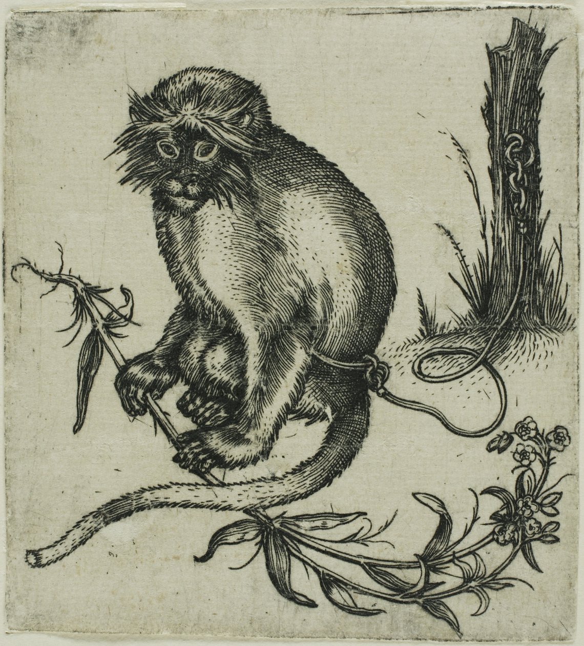 A Chained Monkey by Franz Brun