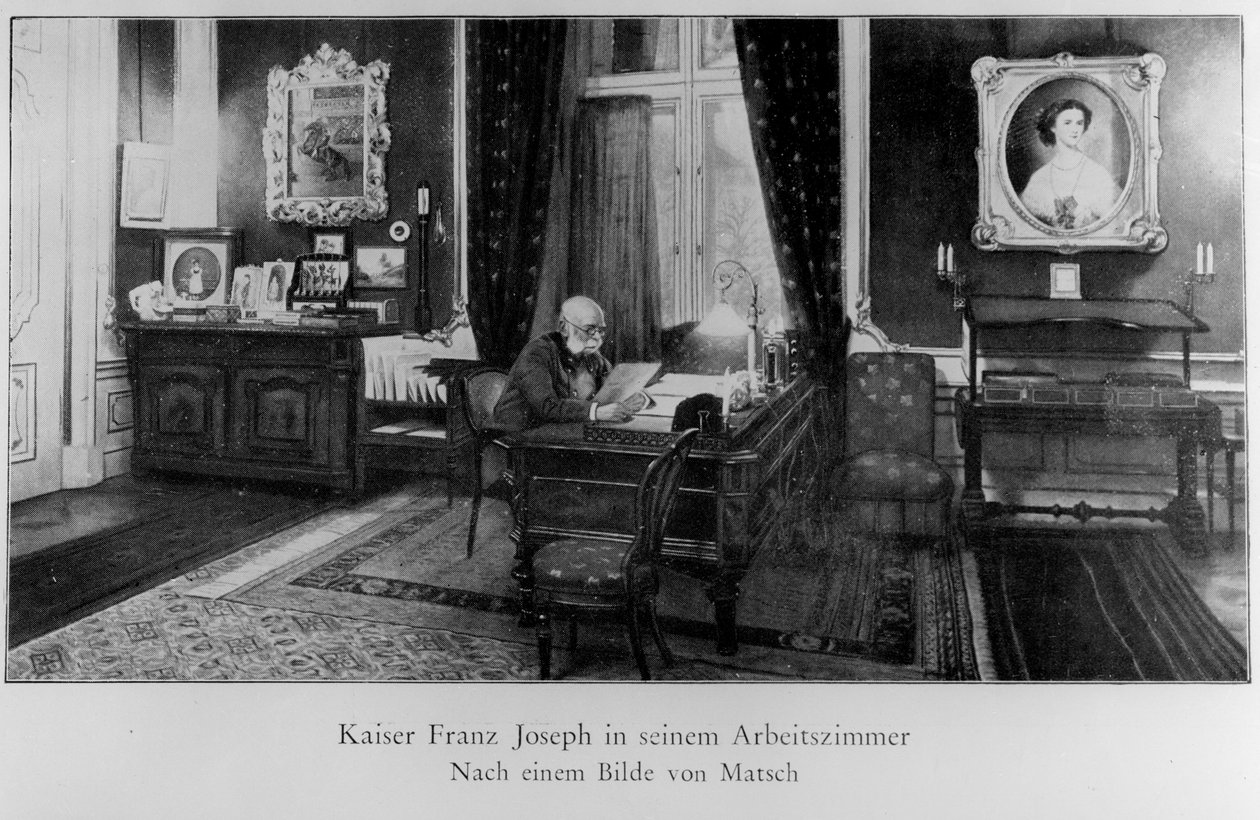 Franz Joseph by Franz von Matsch