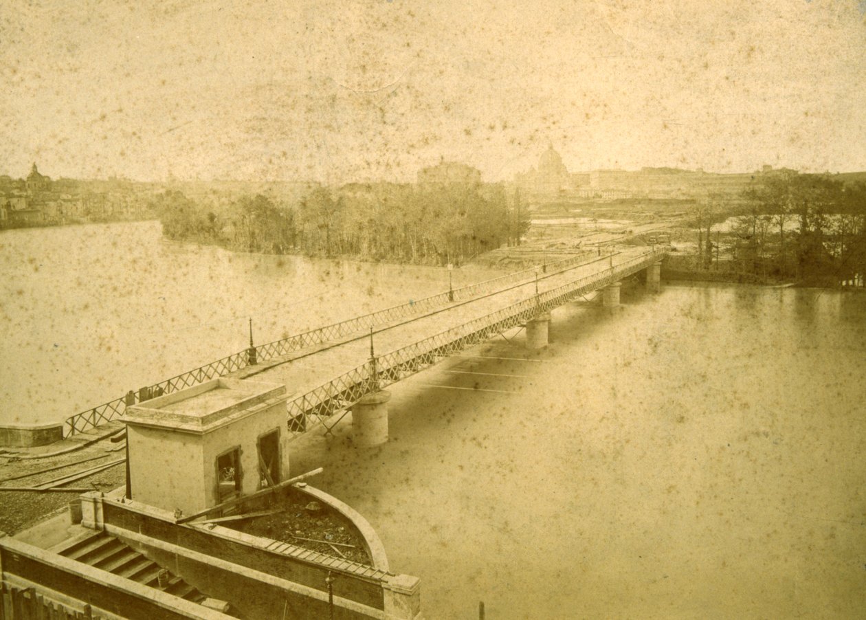 The Porto di Ripetta during the flood of 1878, 1878 by Fratelli D