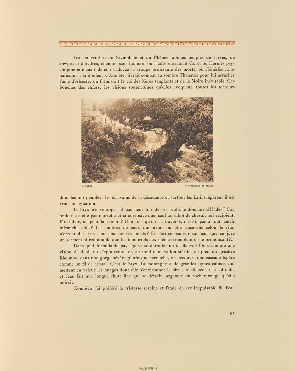 Solos. Chestnut Trees in Bloom by Frédéric Boissonnas