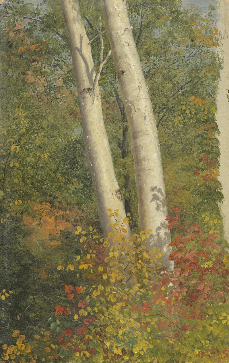Birch Trees in Autumn by Frederic Edwin Church