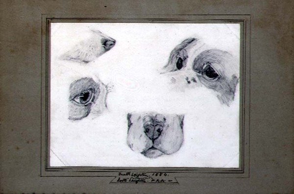 Studies of the Artist