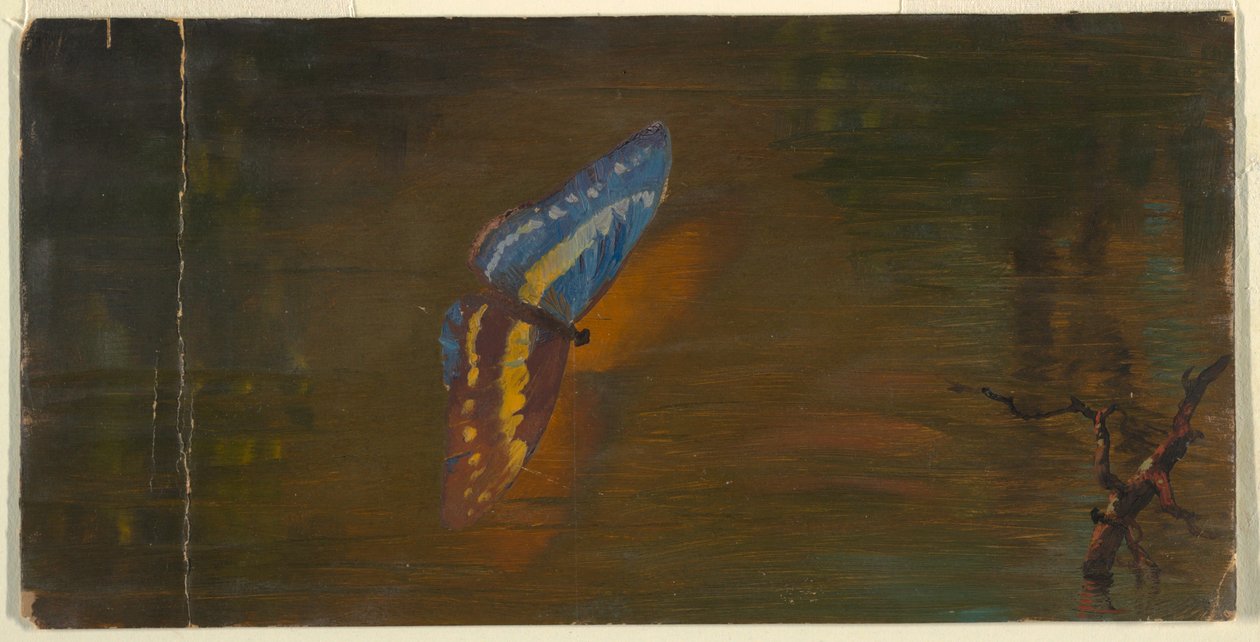 Butterfly over Water by Frederic Edwin Church