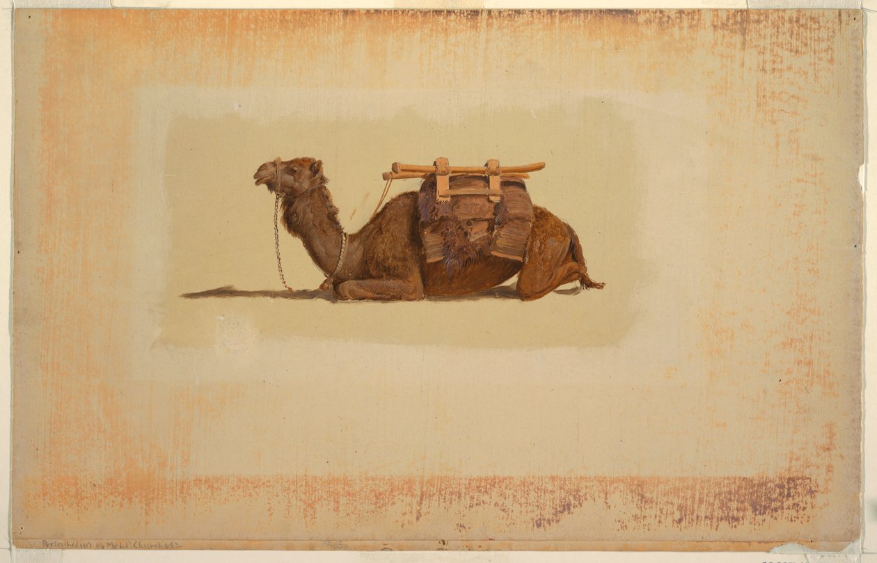 Crouching Dromedary by Frederic Edwin Church