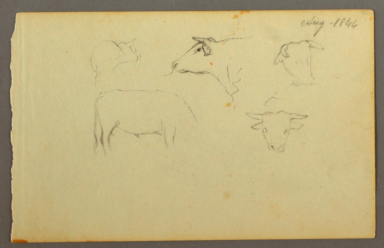 Cows, 1844 by Frederic Edwin Church