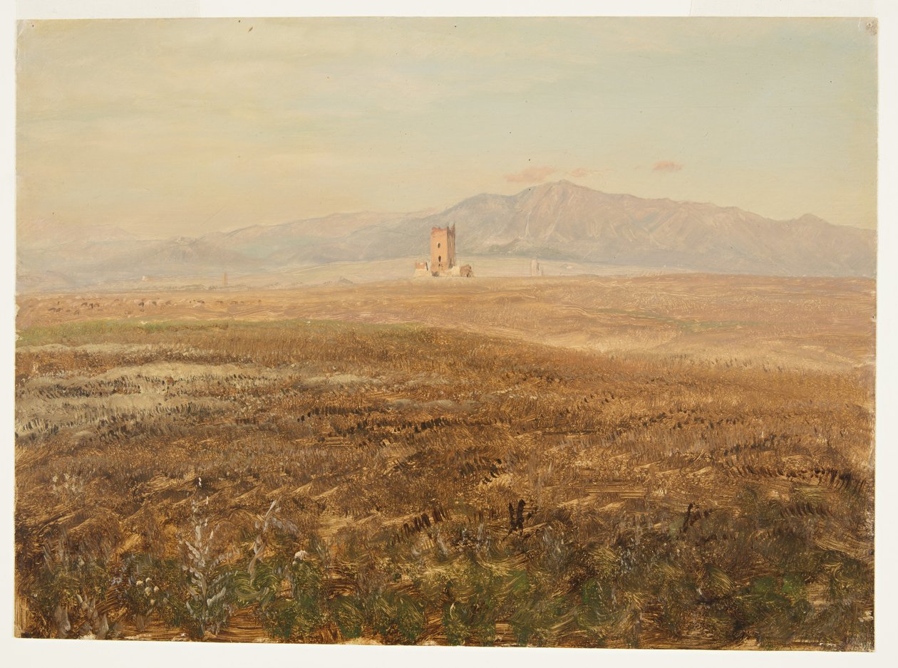 Mexican Landscape, April 1869 by Frederic Edwin Church