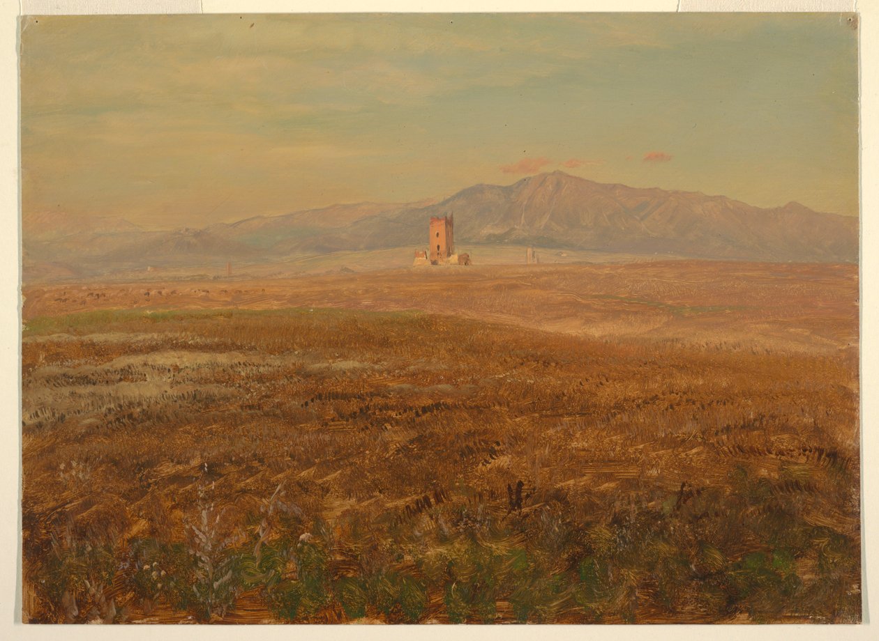 Mexican Landscape, April 1869 by Frederic Edwin Church