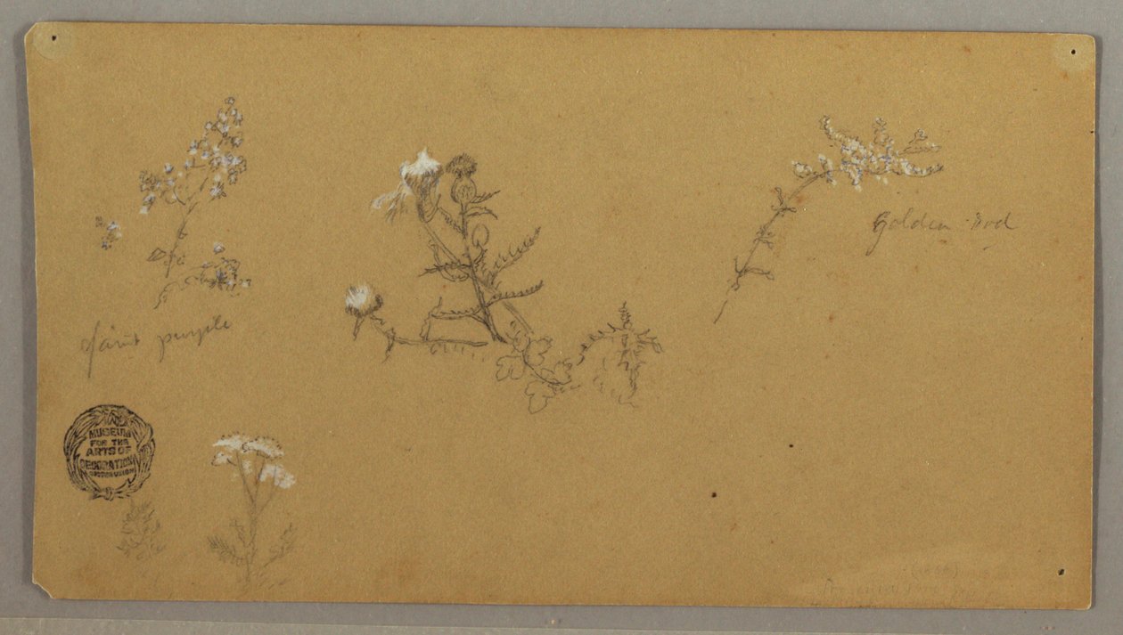 Flowering Plants by Frederic Edwin Church