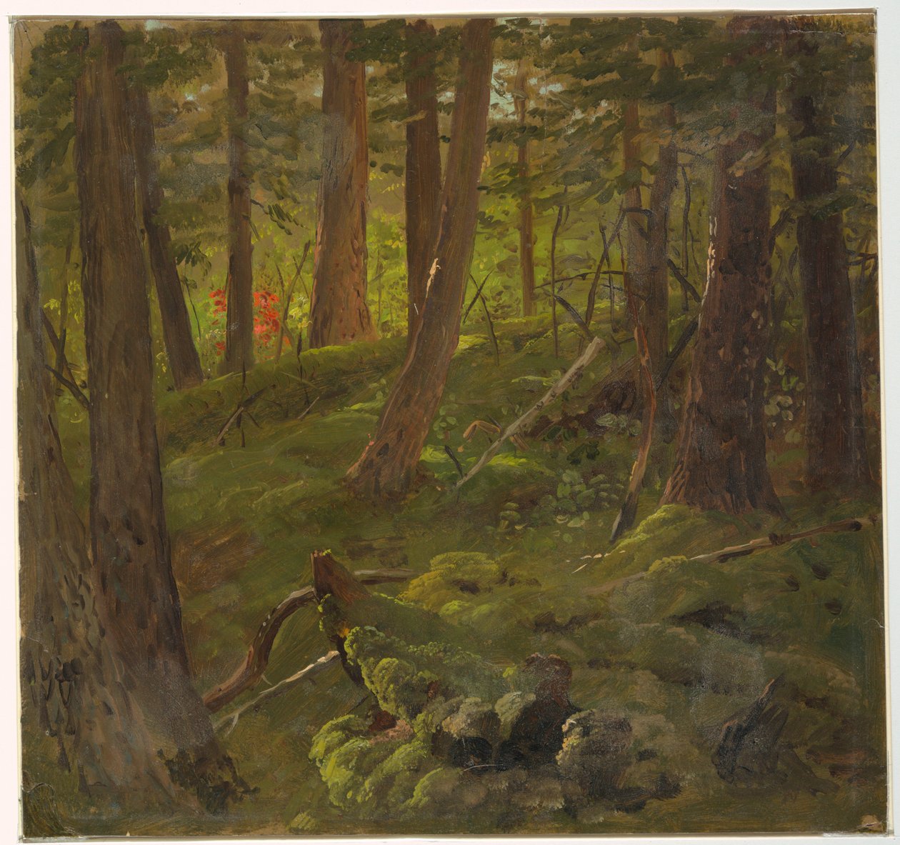 Forest in Jamaica by Frederic Edwin Church