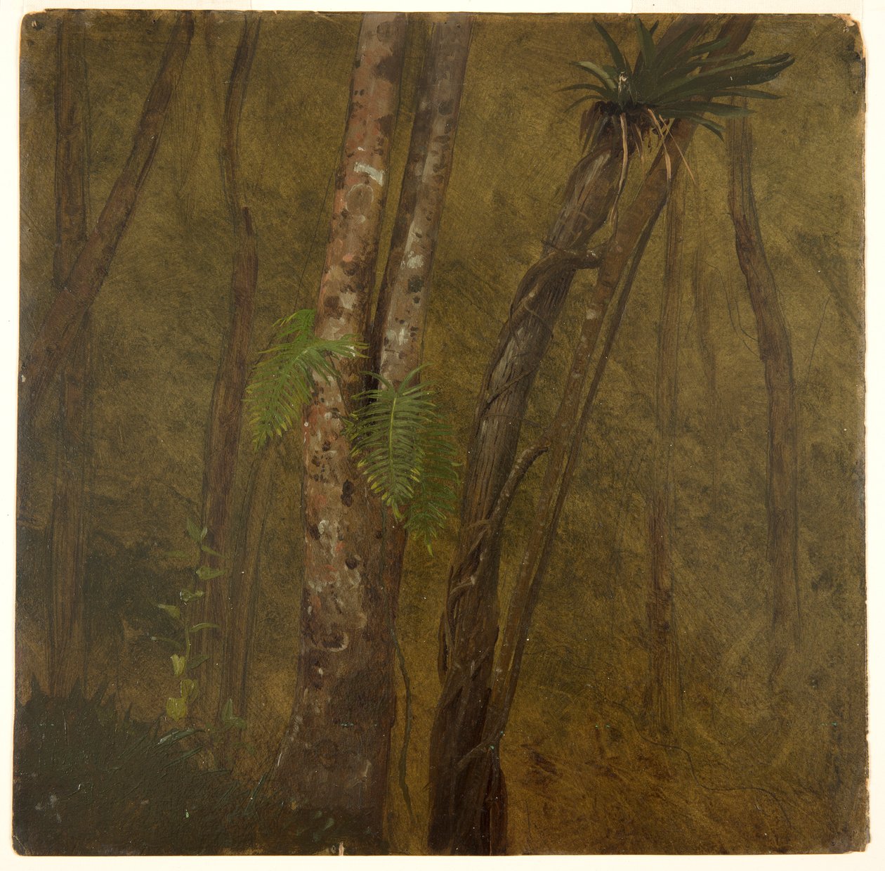 Landscape in Jamaica by Frederic Edwin Church