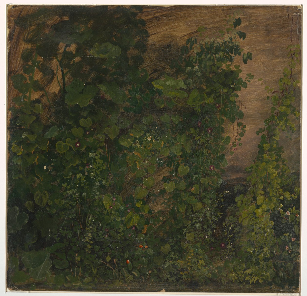 Philodendron Vines, Jamaica by Frederic Edwin Church