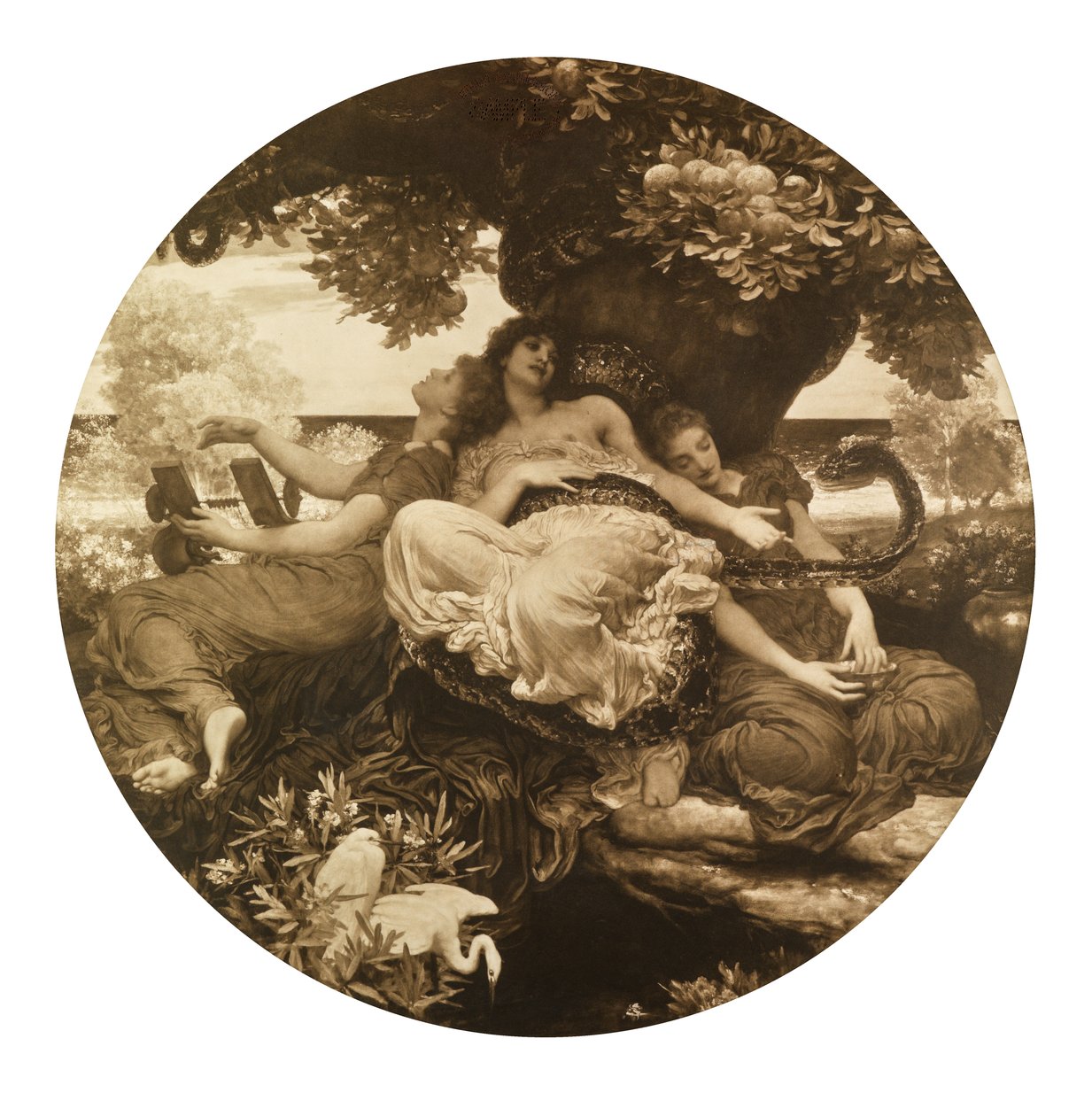 The Garden of Hesperides by Frederic Leighton