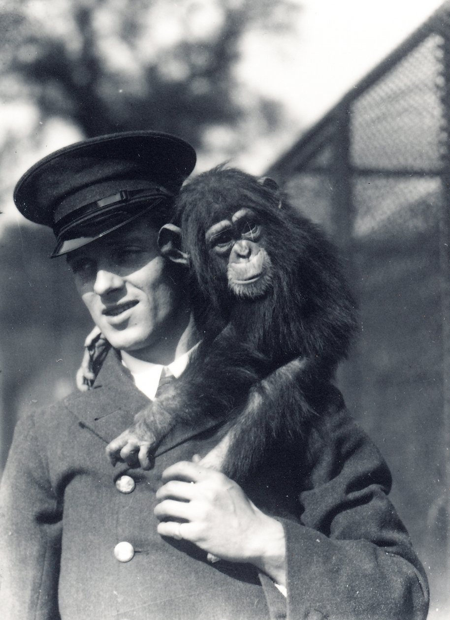 Keeper F. Shelly with Chimpanzee Johnnie or Marco at ZSL London Zoo by Frederick William Bond