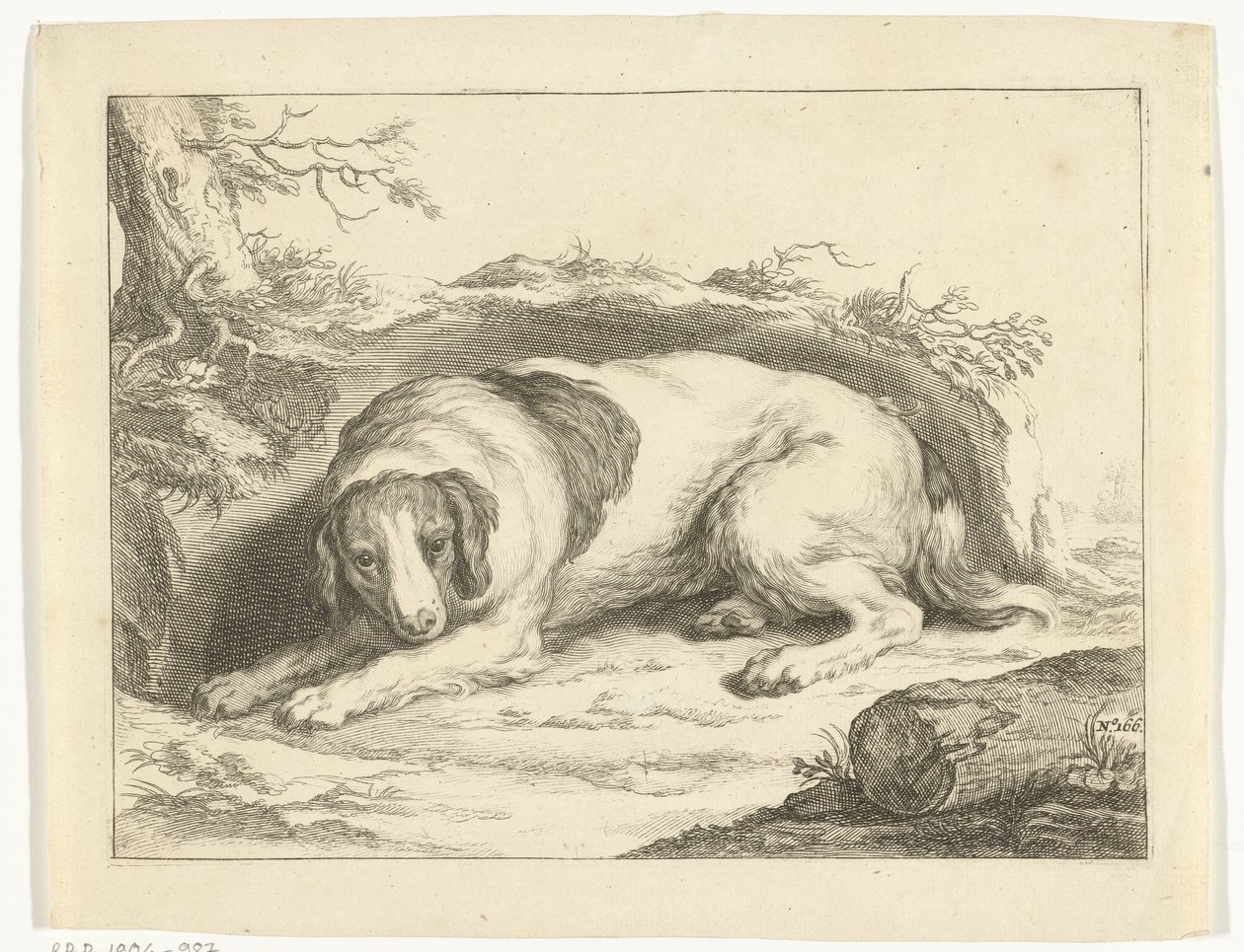 Spaniel (series title: The Drawing Book of Abraham Bloemaert) by Frederick Bloemaert