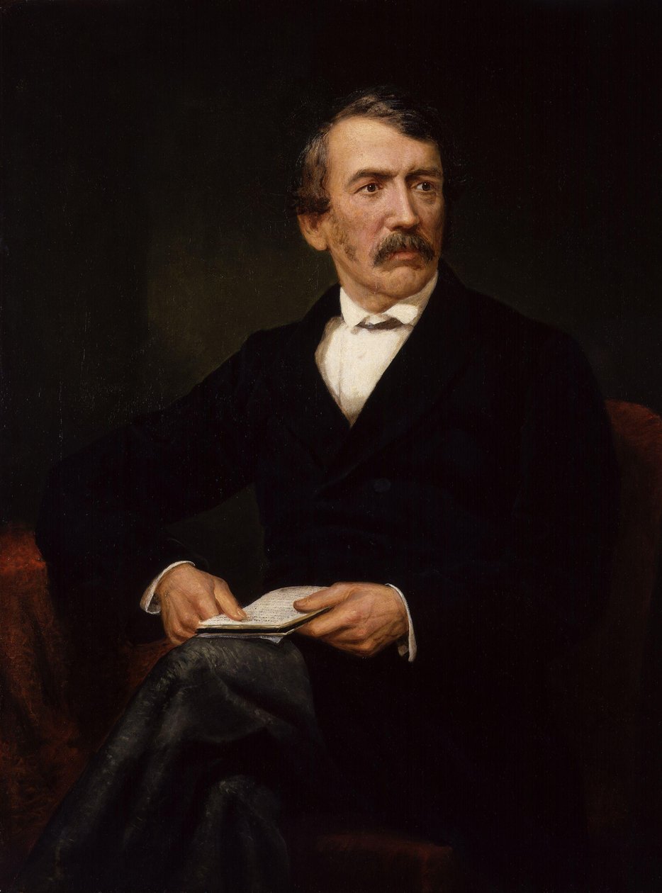David Livingstone (posthumous portrait) by Frederick Havill