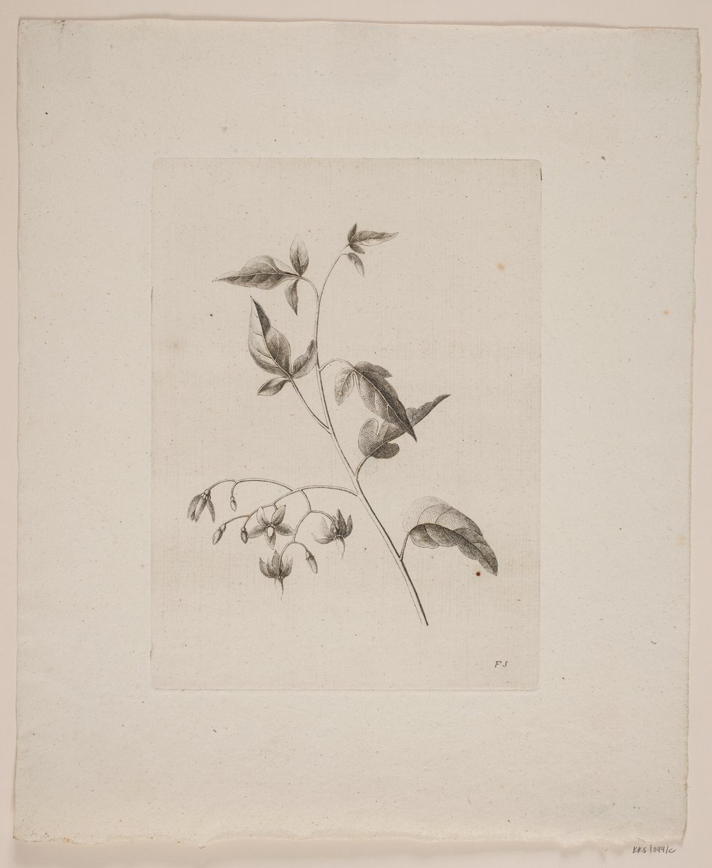 Flower Motif by Frederik Schepelern