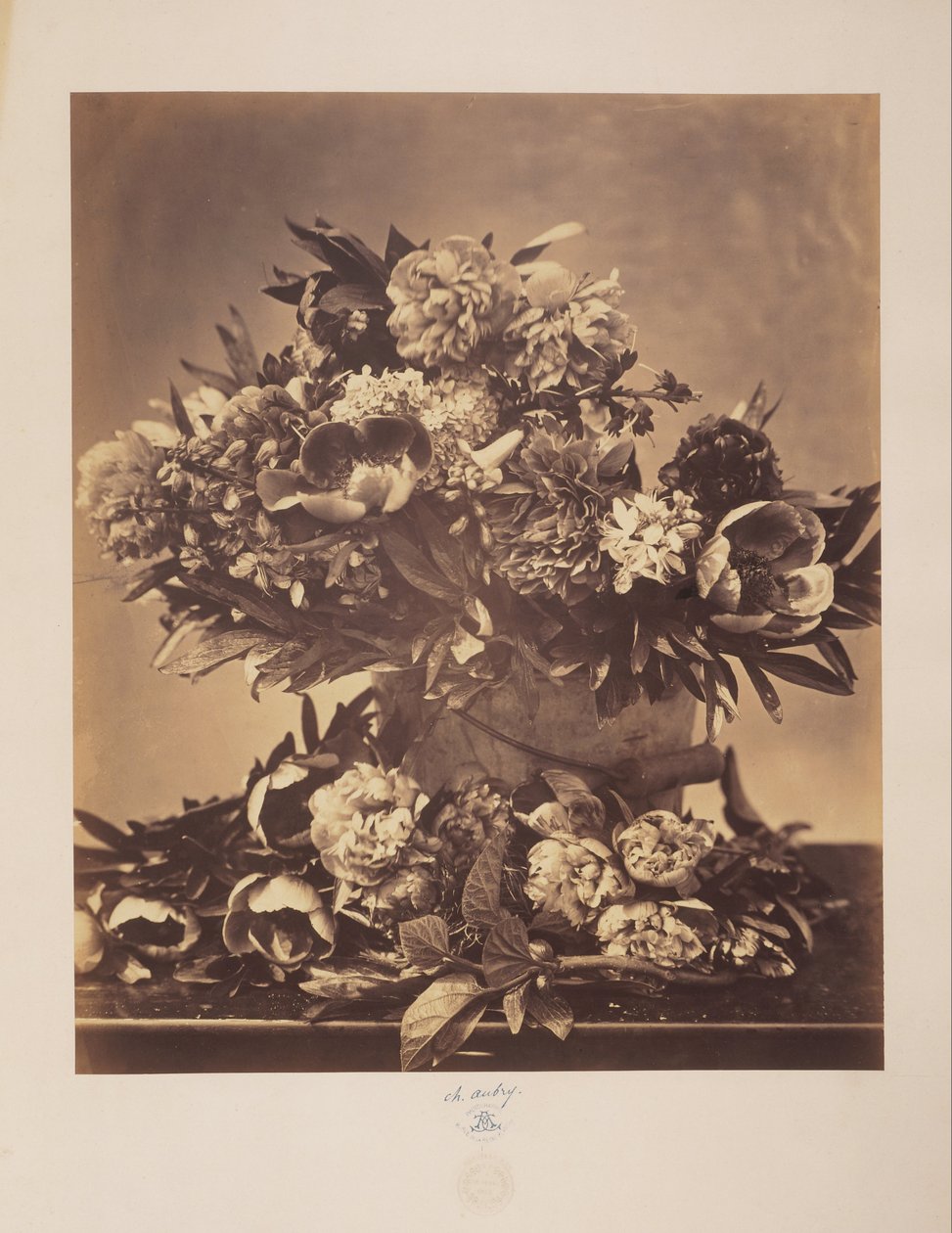 Still Life with Peonies by Charles Aubry