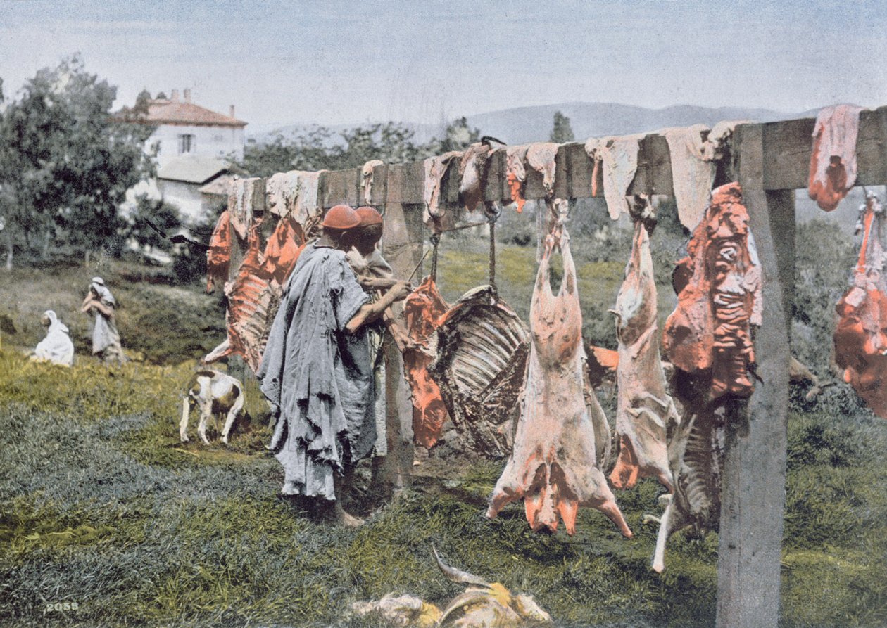 Arab Butchery in Algeria by French Photographer