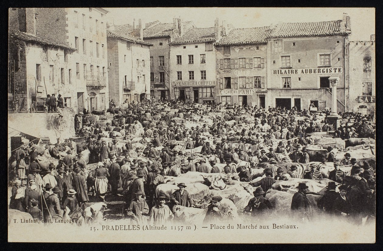 Cattle Market Place in Pradelles, c.1900 by French Photographer