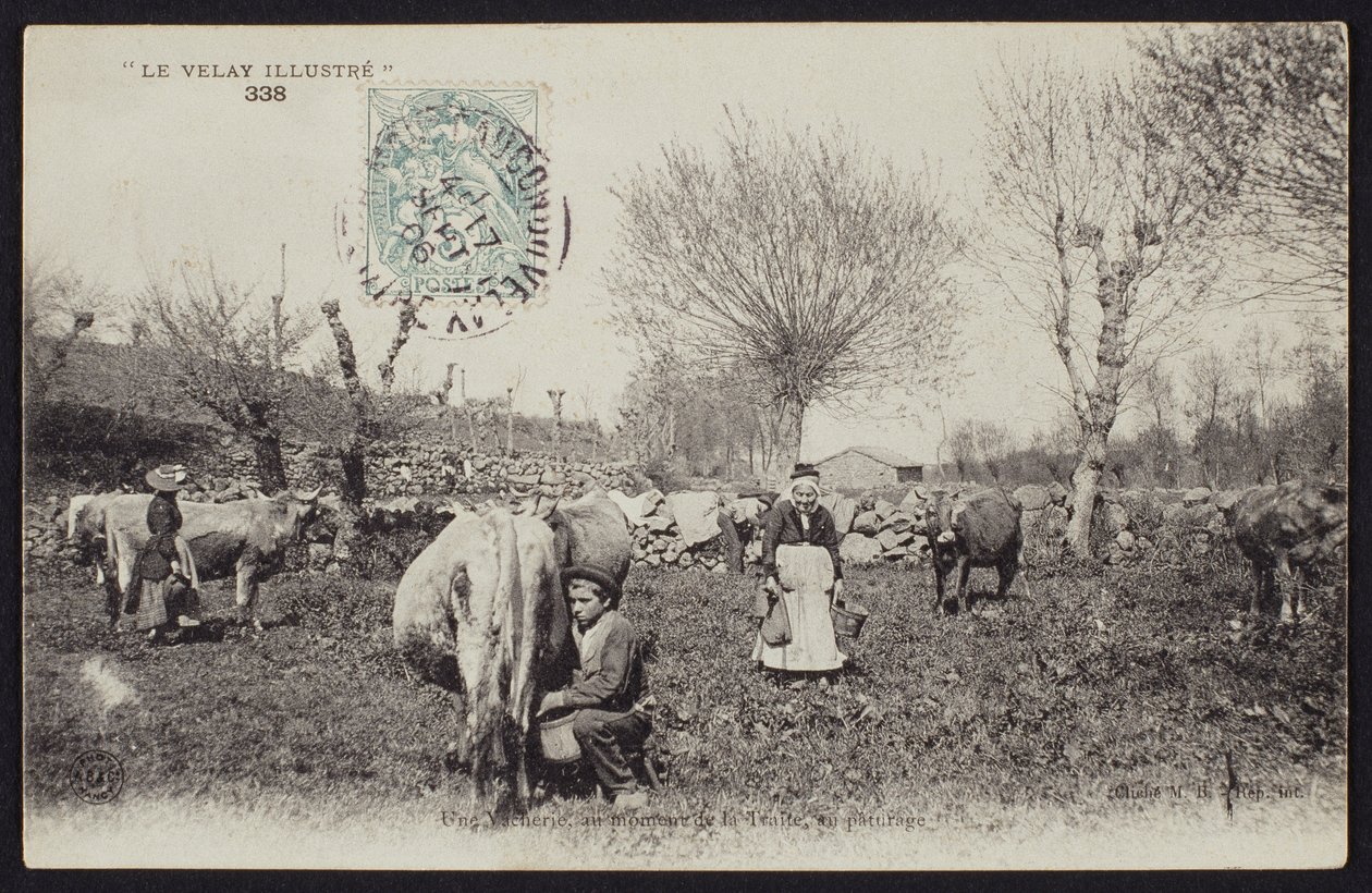 Milking Time in the Velay, c.1900 by French Photographer