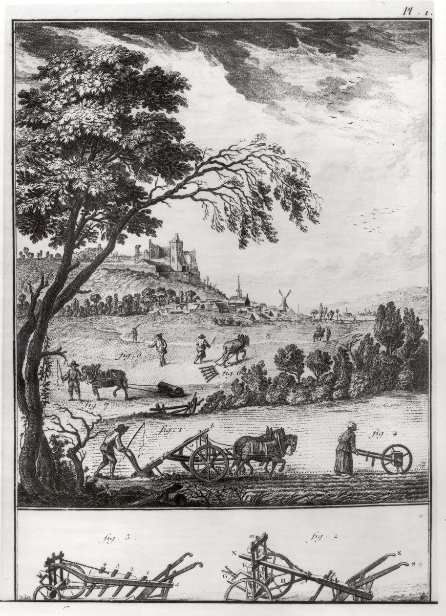 Agriculture, plate I from the Encyclopaedia of Denis Diderot by French School