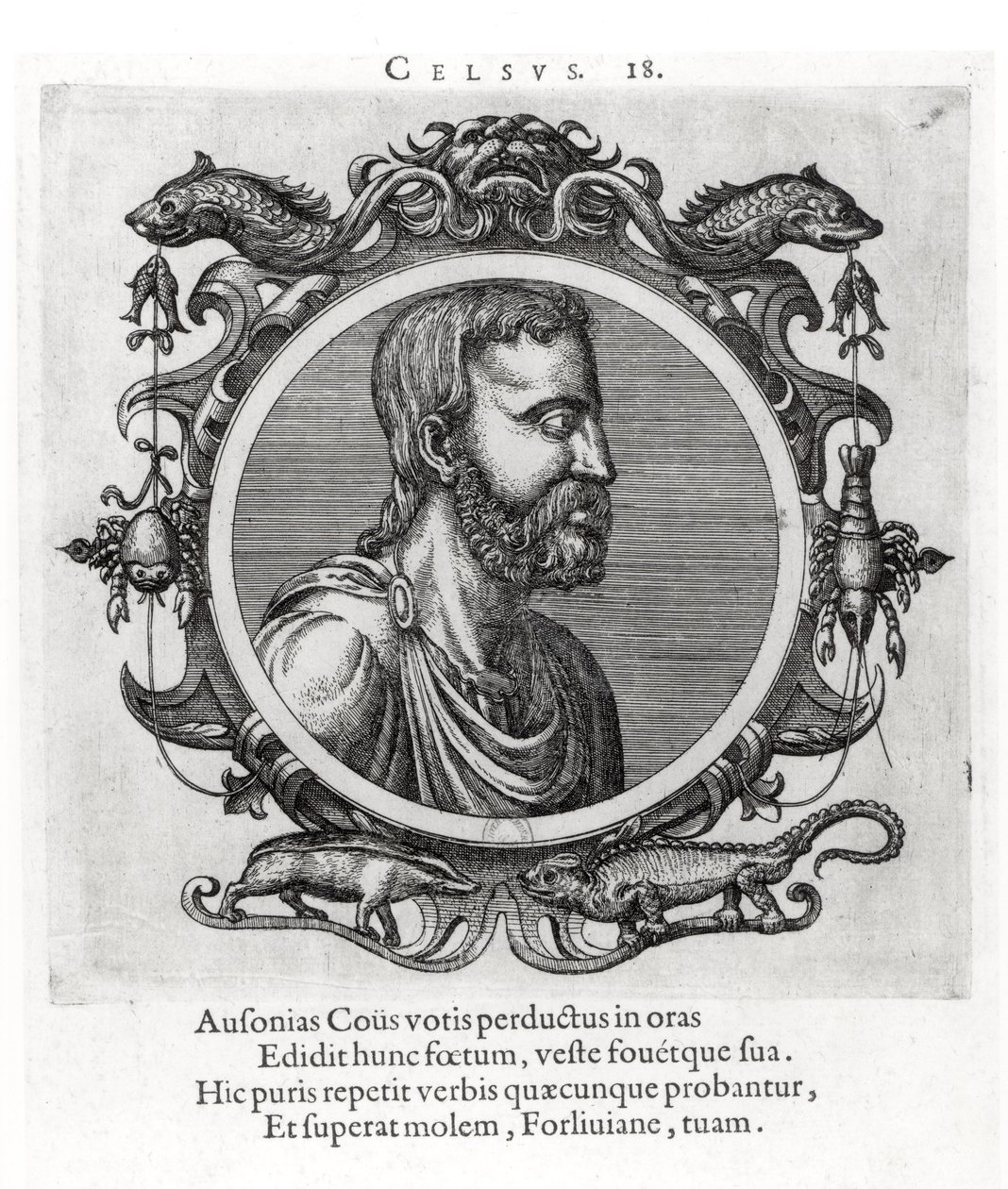Celsus by French School