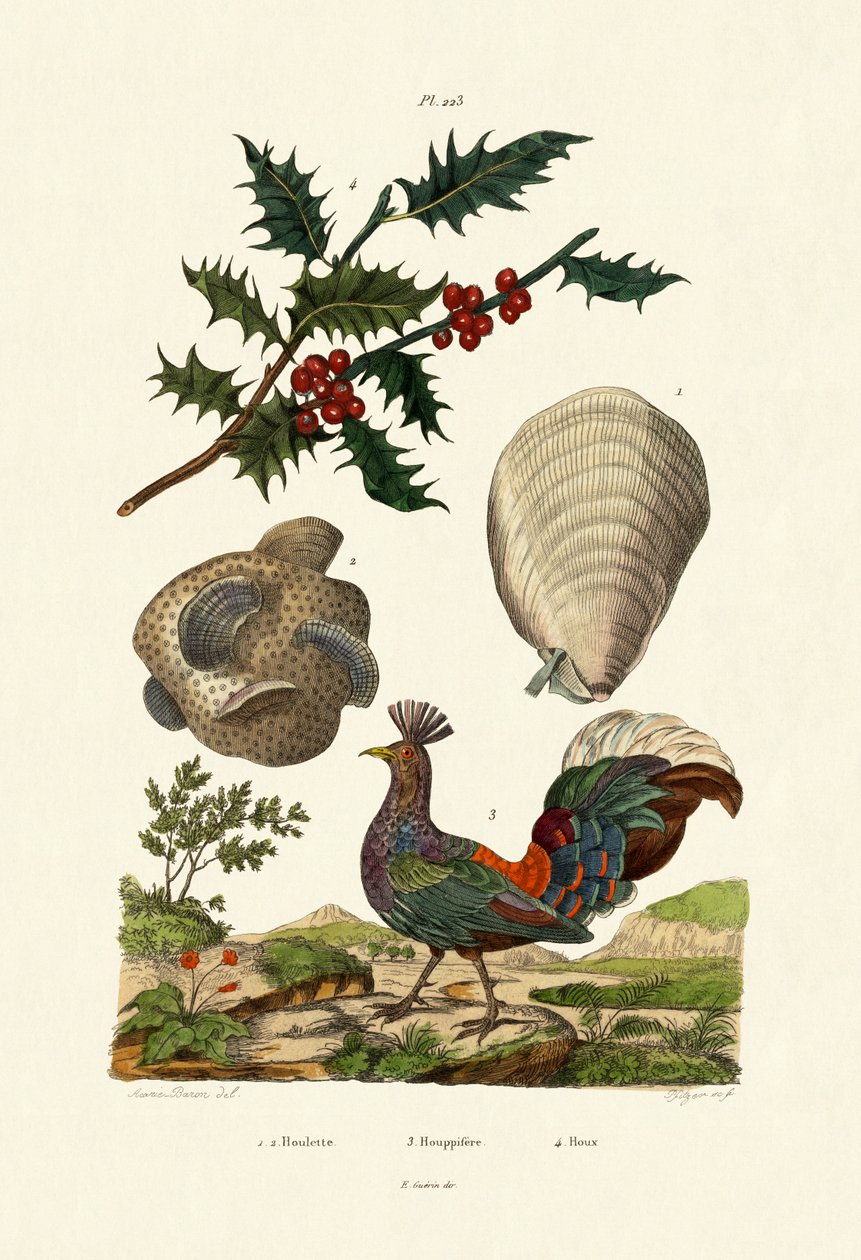 European Holly by French School