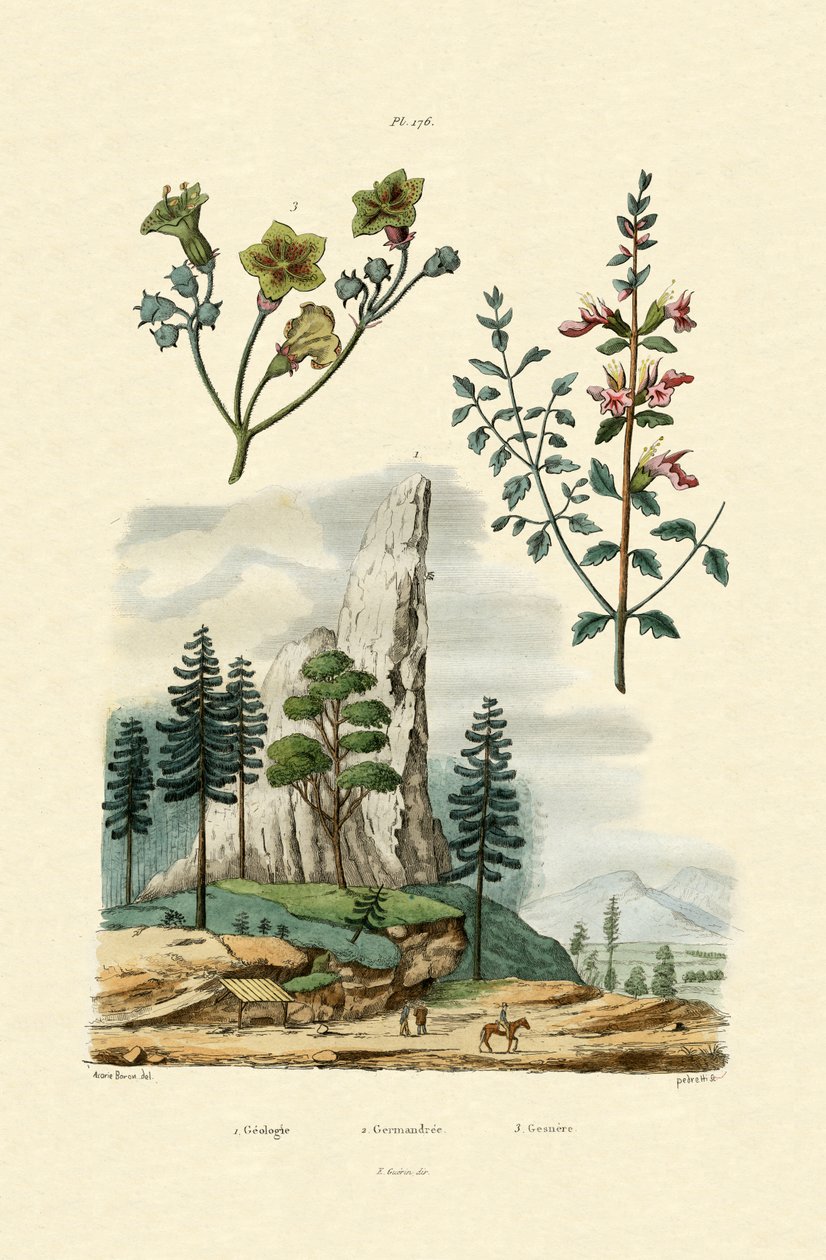 Geology by French School