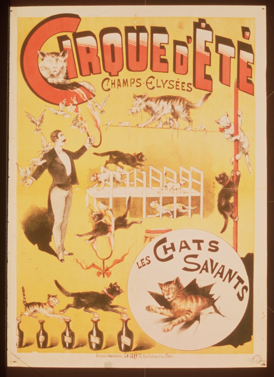 Poster Advertising the Cirque d